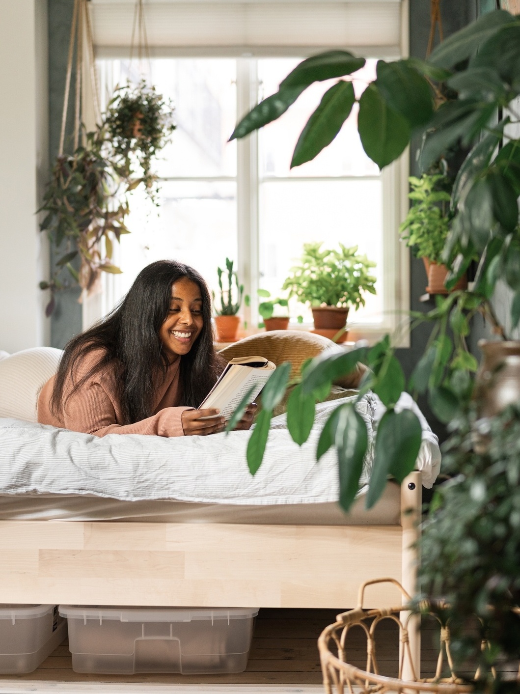 plantas grandes para quarto