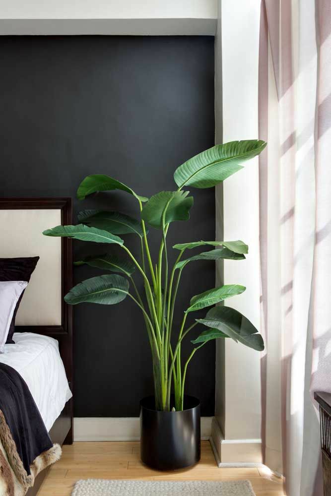 plantas para quarto pequeno