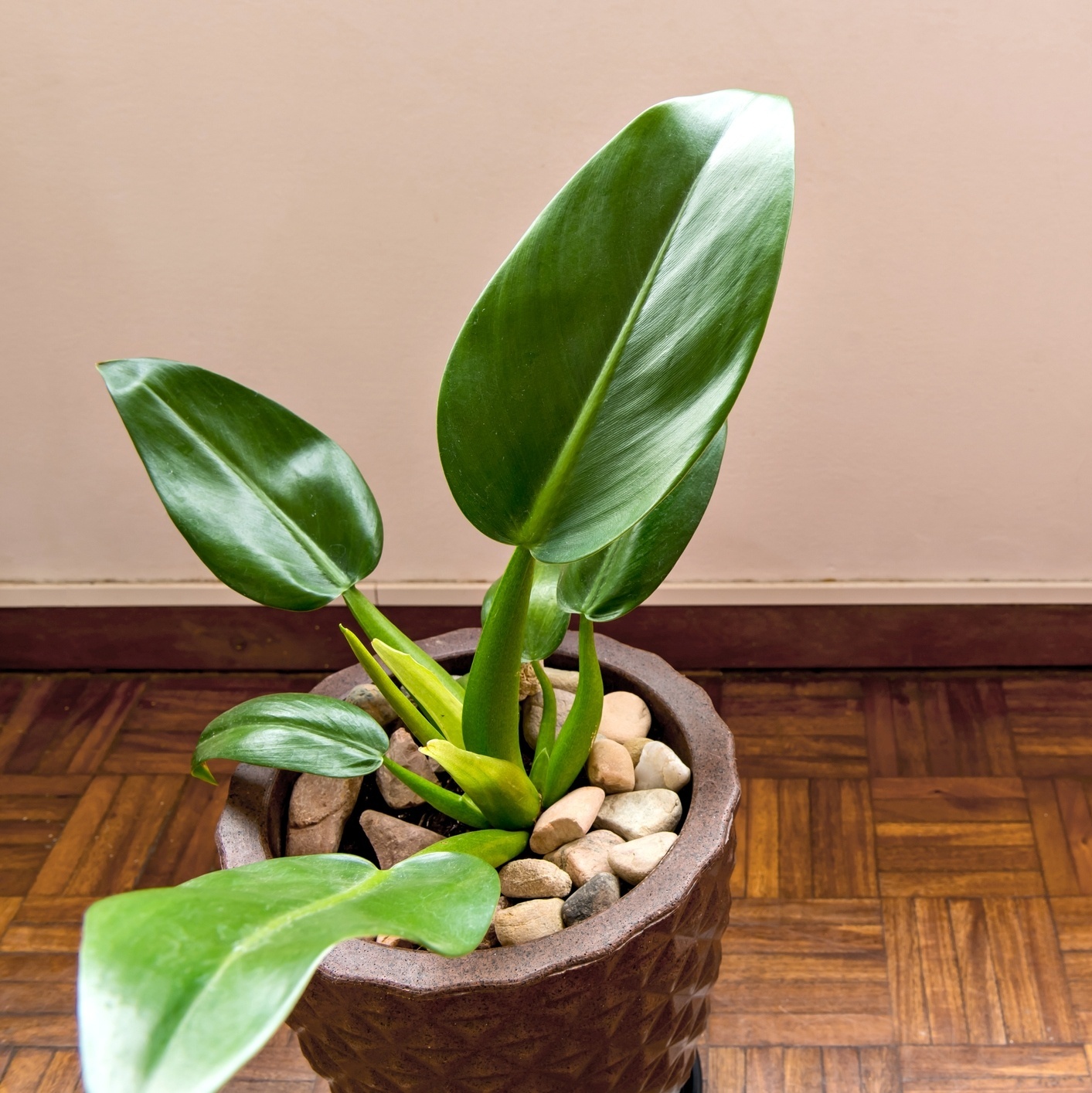 plantas para banheiro sem janela