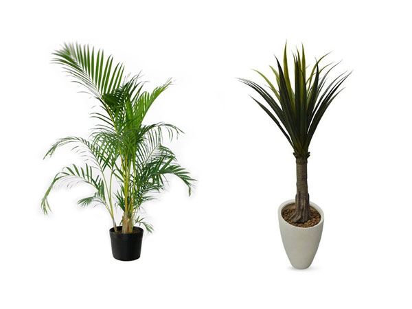 vasos para entrada de casa