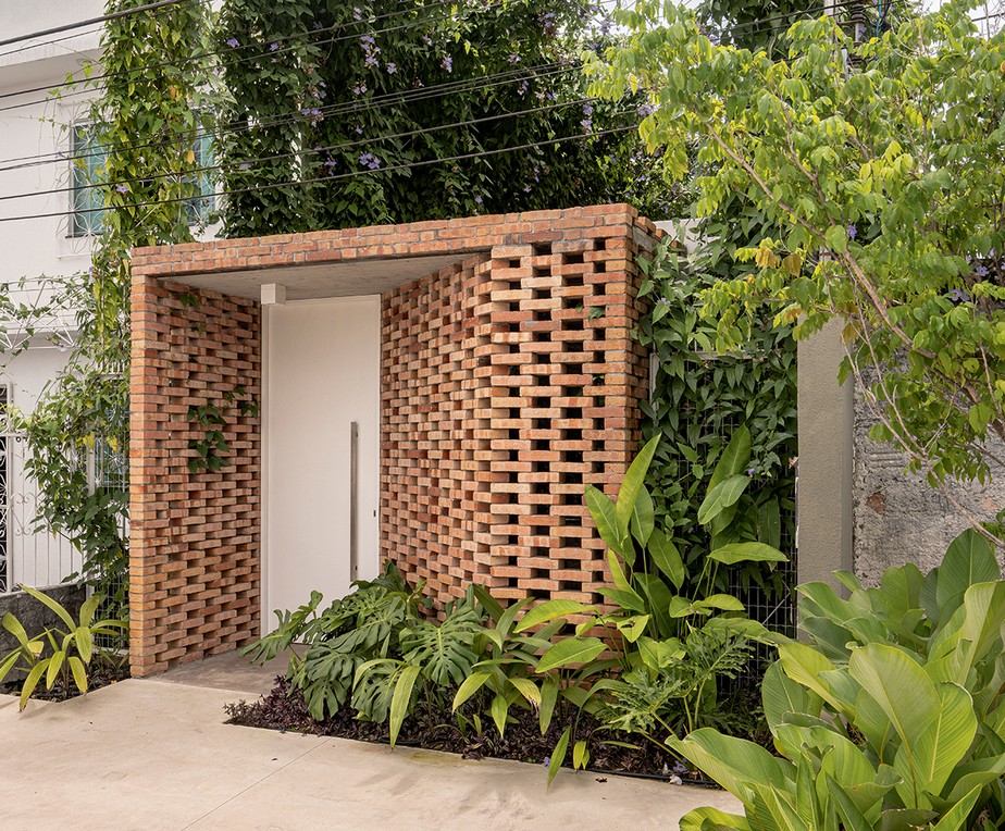 plantas de sombra para entrada