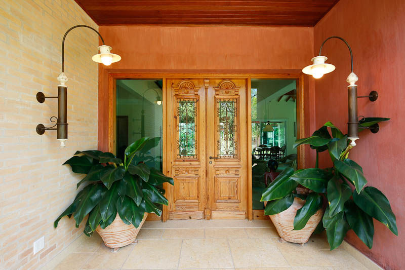 plantas de sol para entrada