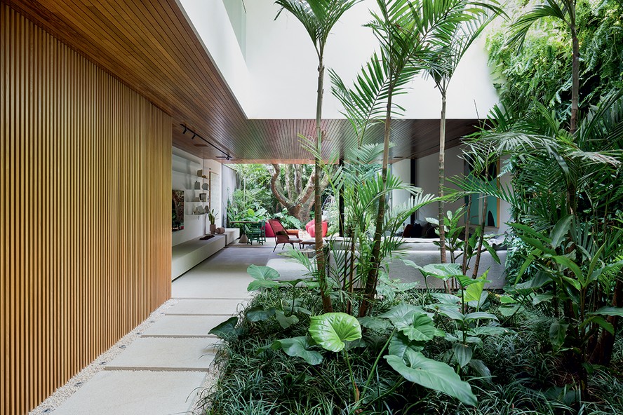 plantas para jardim de inverno com pouca luz