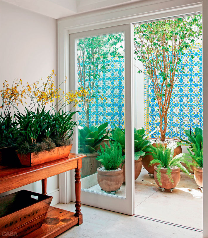 plantas com flores para jardim de inverno