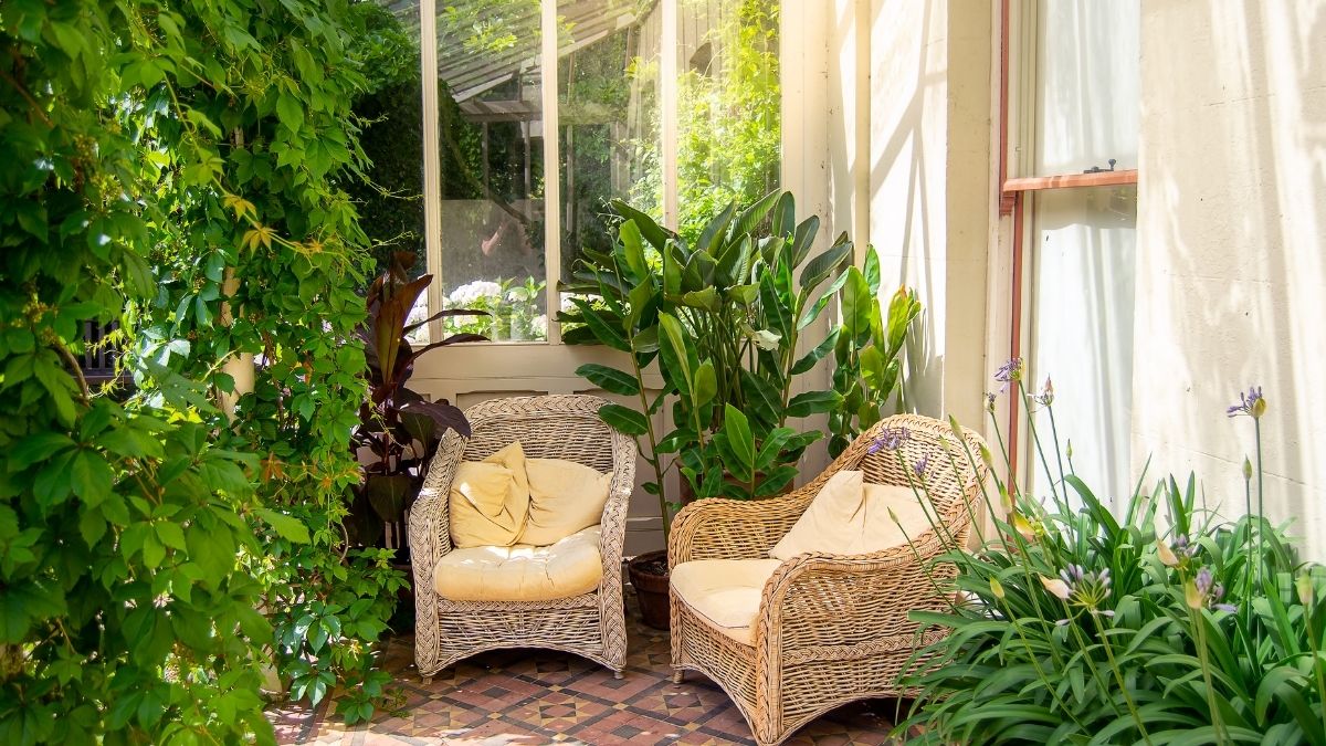 plantas pendentes para jardim de inverno