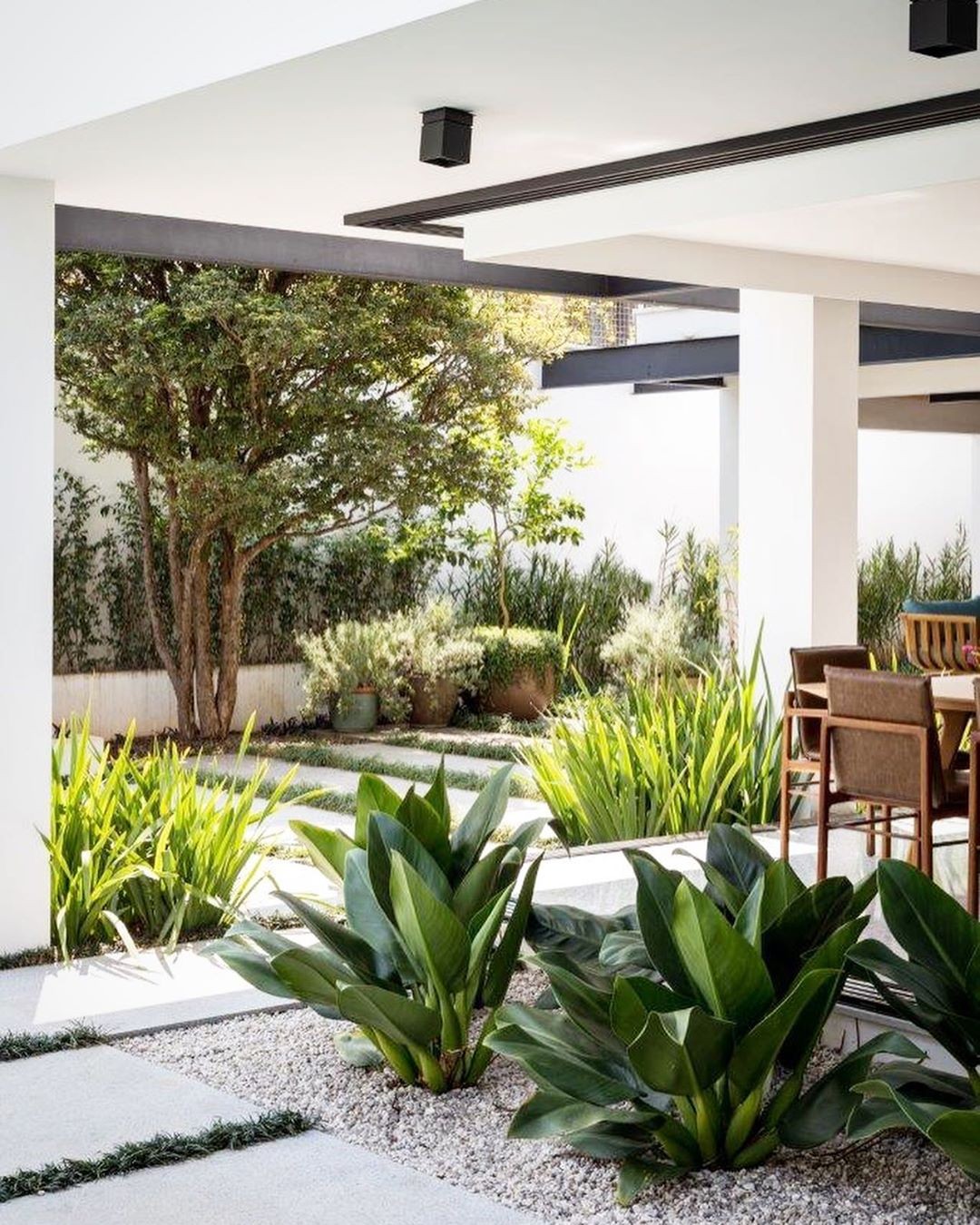 plantas que purificam o ar para jardim de inverno