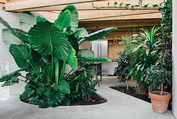 jardim de inverno com pouca claridade