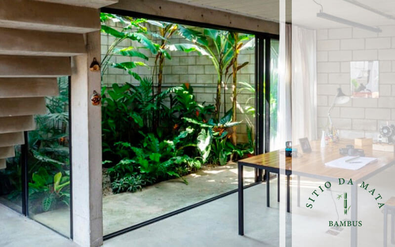 plantas com flores para jardim de inverno
