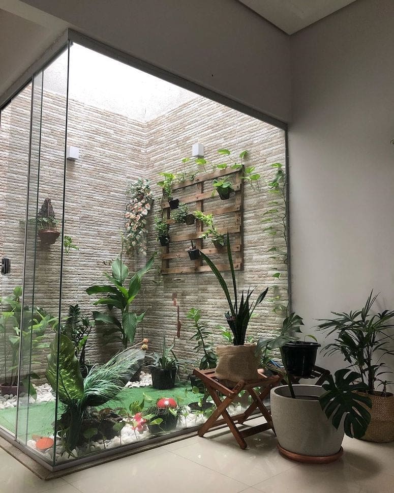plantas pendentes para jardim de inverno