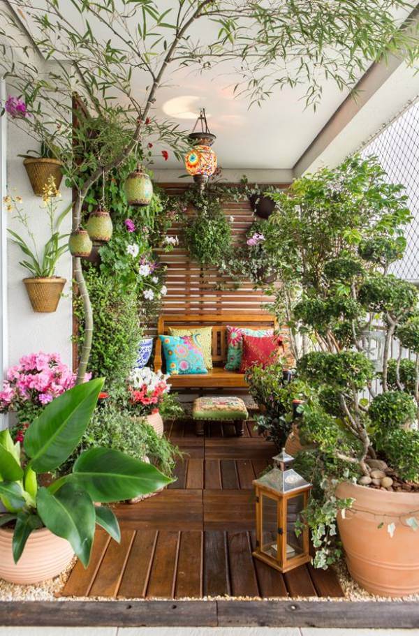 plantas tropicais para jardim de inverno