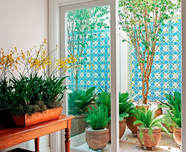 plantas que purificam o ar para jardim de inverno