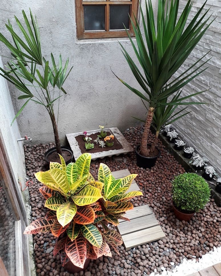 jardim de inverno com pouca claridade