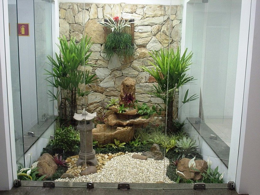 plantas para corredor com pouca luz
