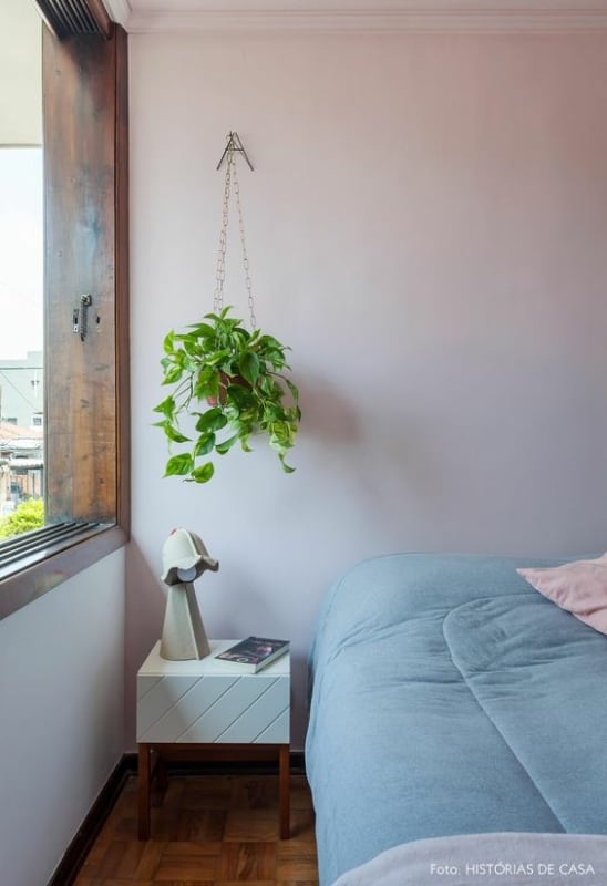 plantas fáceis de cuidar para quarto