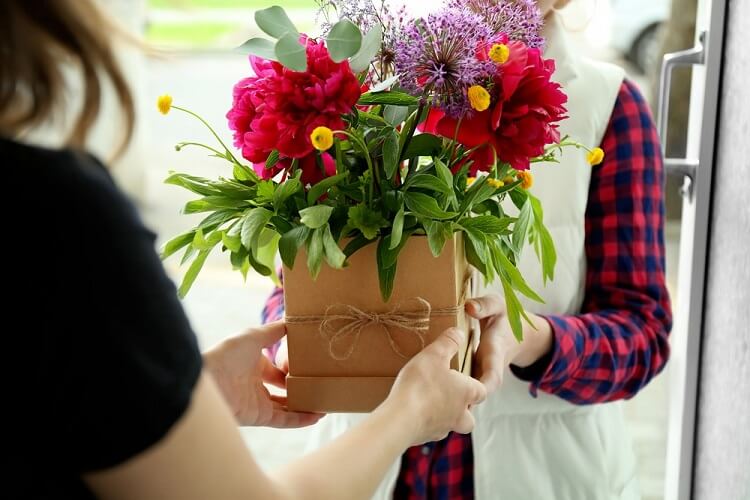 plantas com significado para amiga