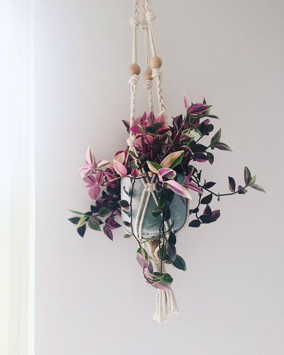 Plantas com flores roxas pendentes