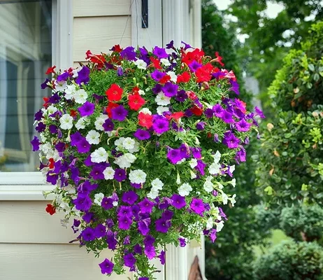 Plantas com flores roxas pendentes
