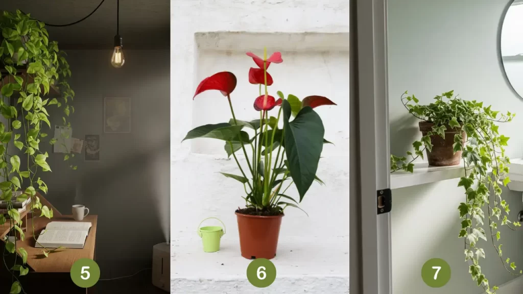 plantas seguras para pets que absorvem umidade