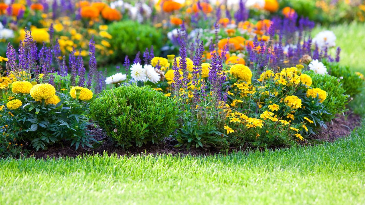custo médio para manter um jardim florido o ano inteiro