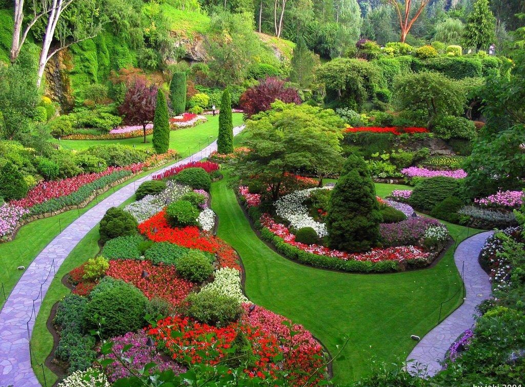 plantas rasteiras para forração de jardins