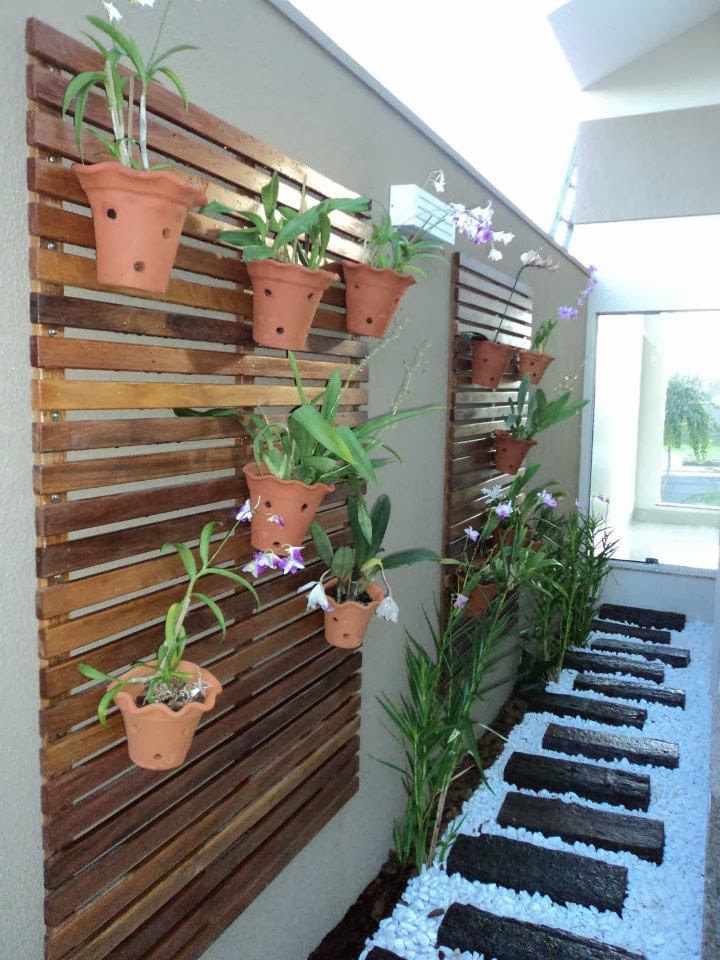 plantas rasteiras vs grama para jardim