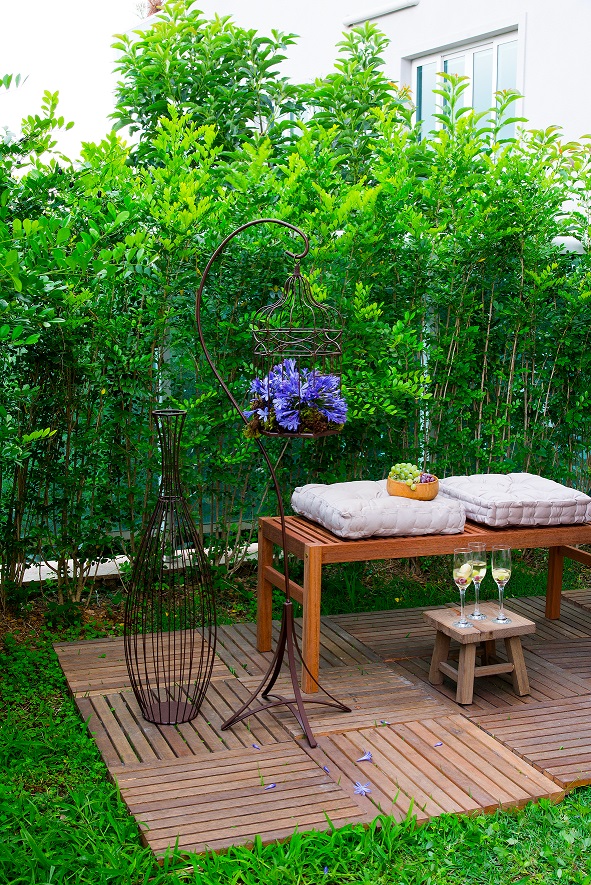 plantas altas que crescem rápido