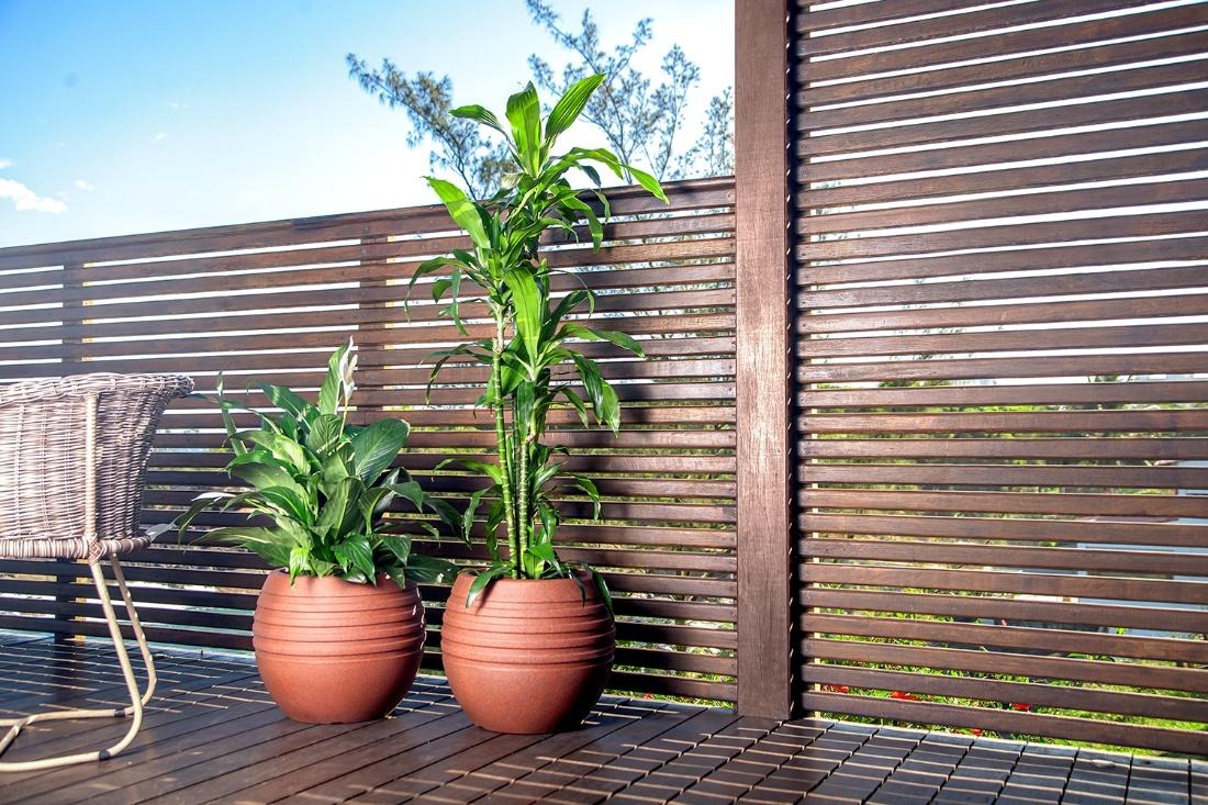 plantas altas em vasos