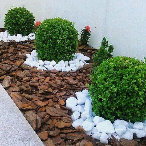 vegetação acessível para quintal