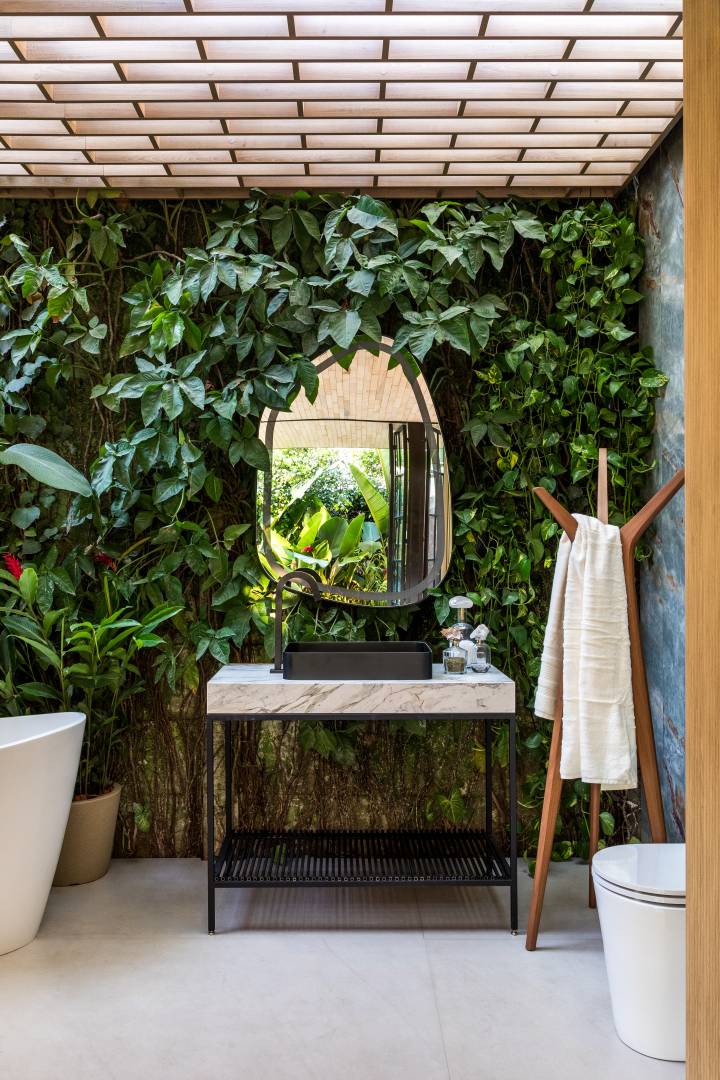 plantas de sombra para banheiro