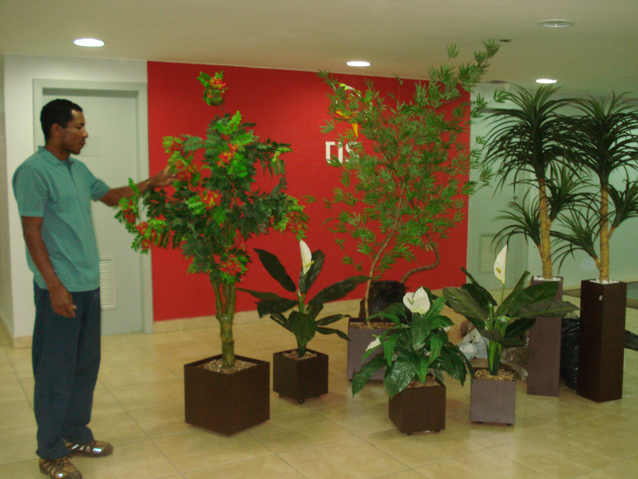 flores para dentro de casa