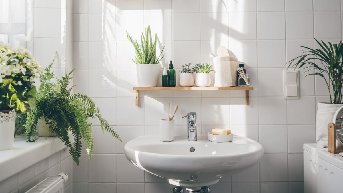 plantas para banheiros pequenos