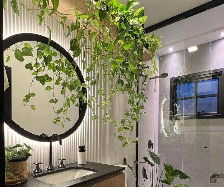 decoração com plantas no banheiro