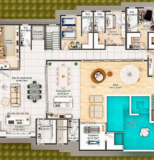 erros comuns ao cuidar de plantas de interior