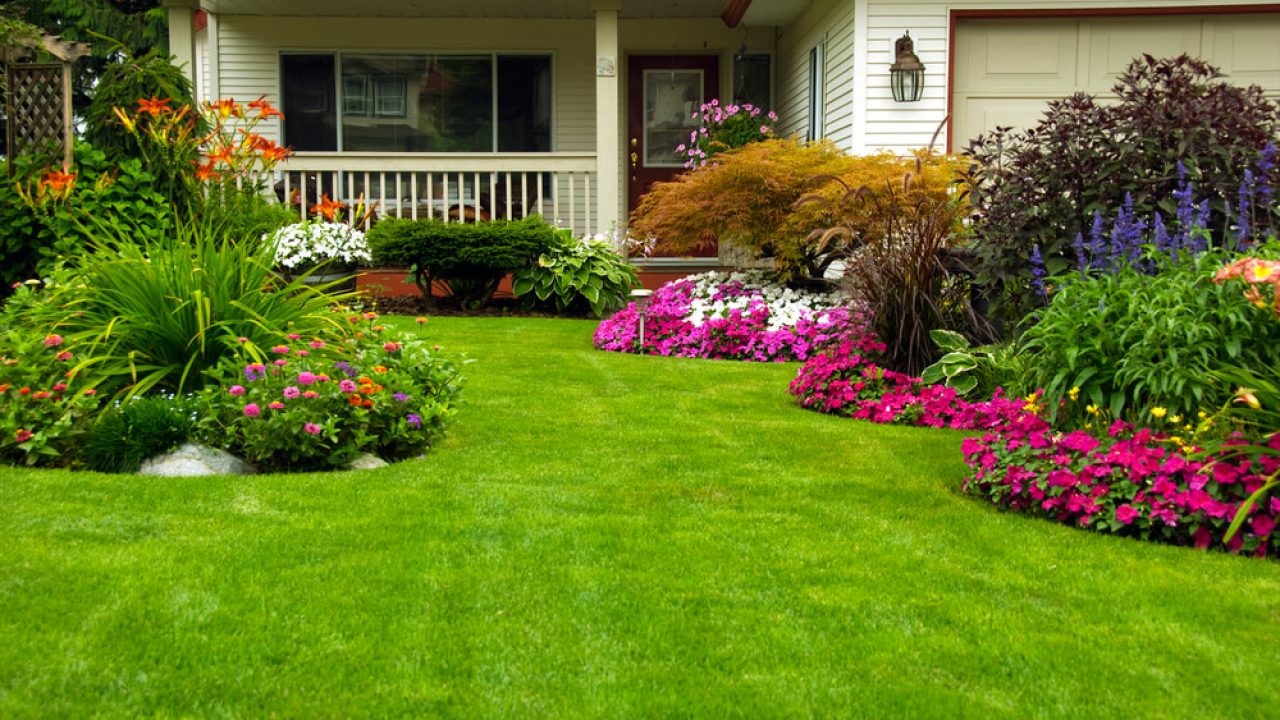 plantas de jardim