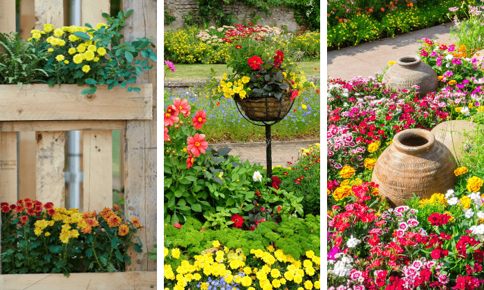 ideias de plantas para jardim com pouco sol