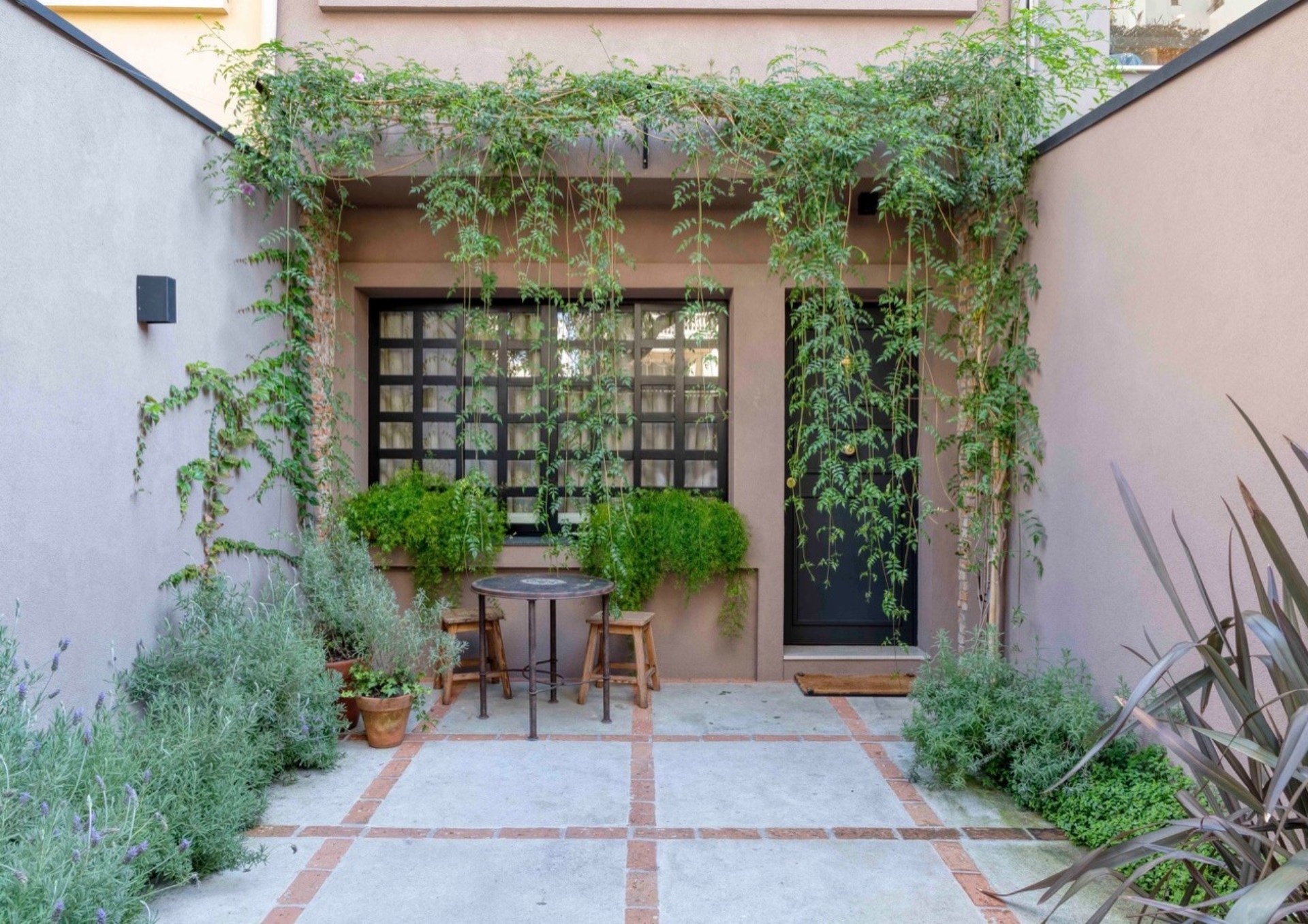 plantas de sol pleno vs plantas de sombra