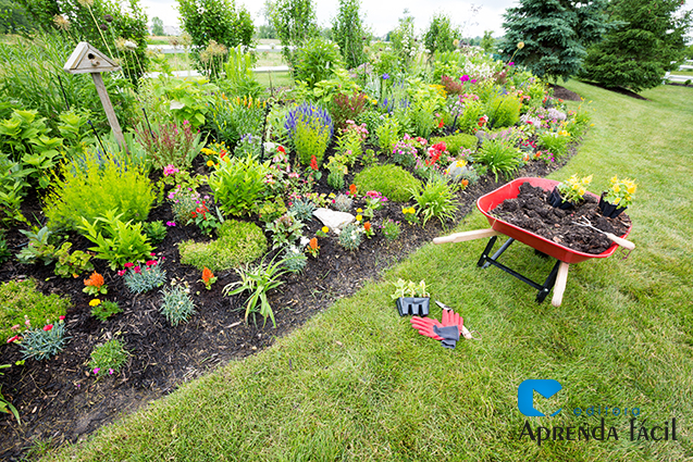 custo médio para montar um jardim com plantas floríferas