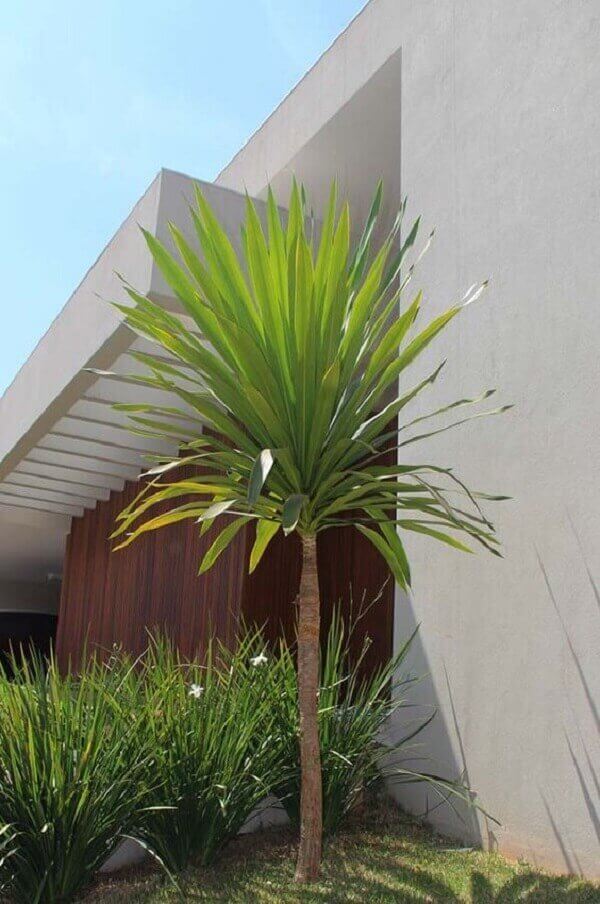 custo médio para montar um jardim com plantas floríferas