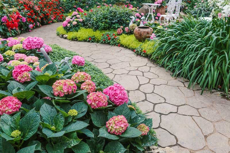 plantas para jardim de sombra total