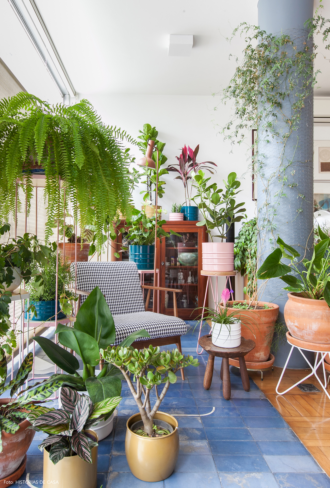 plantas fáceis de cuidar para iniciantes em casa