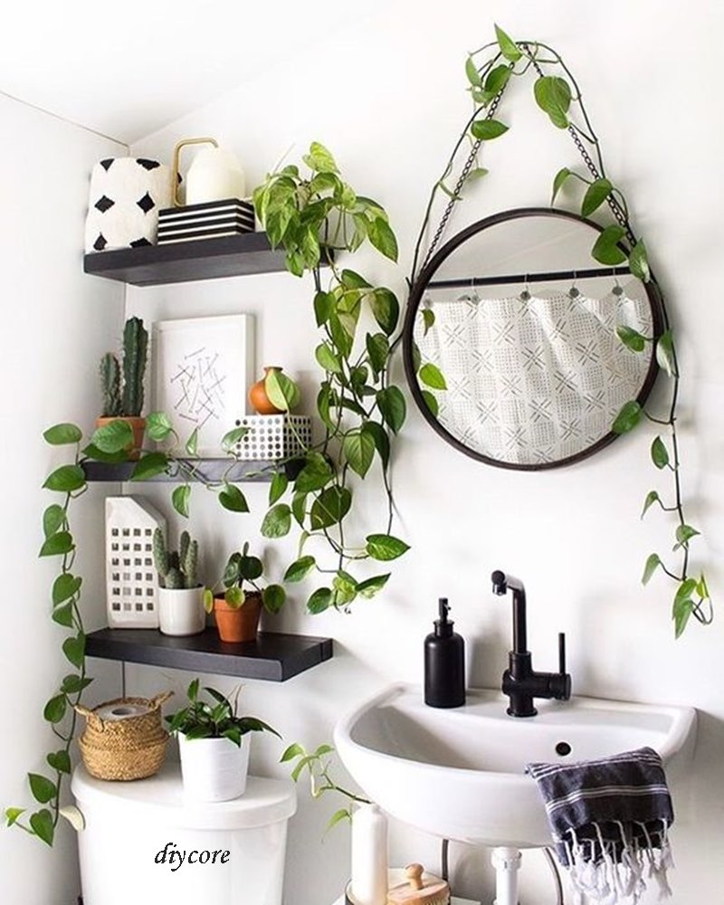 plantas para lavabo