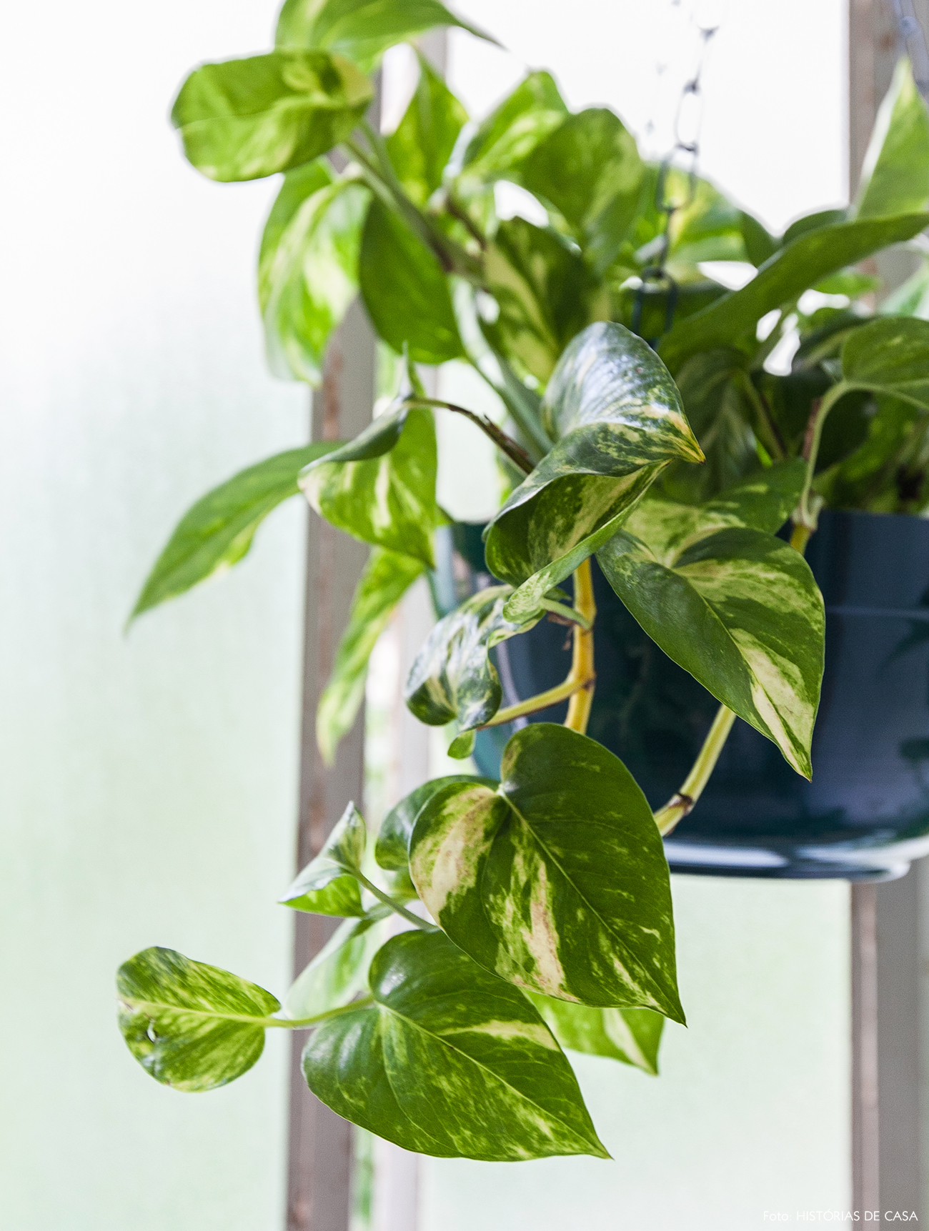 plantas para banheiro sem janela