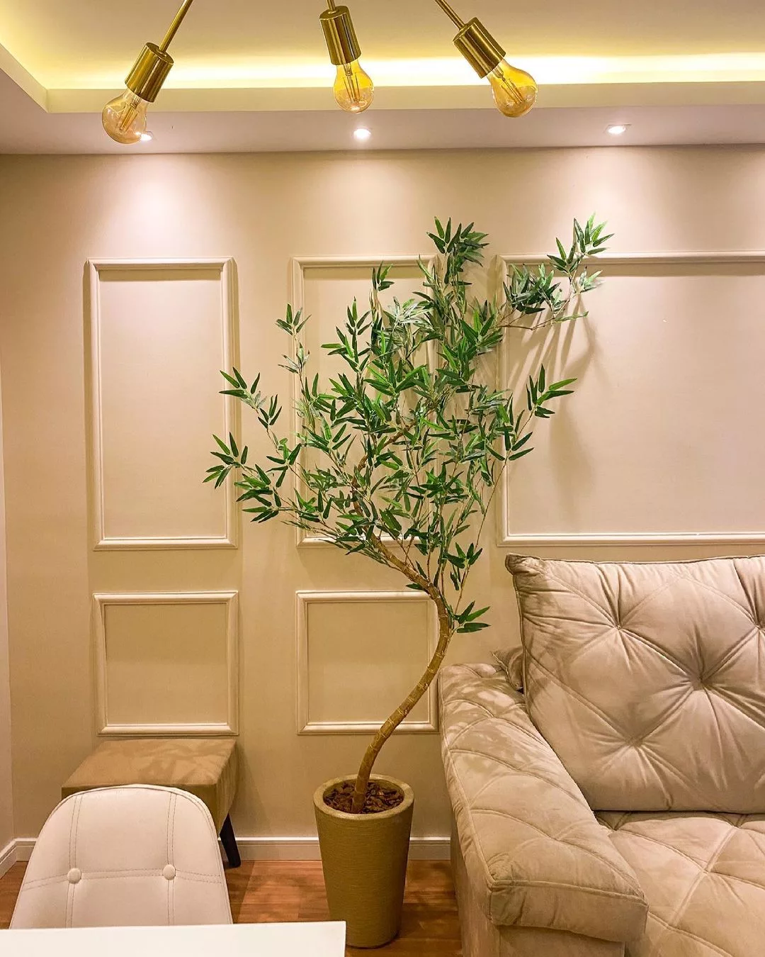 plantas para sala de estar