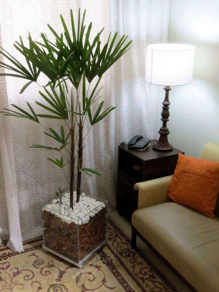 plantas de chão para sala