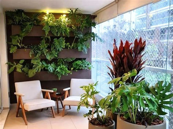 melhores plantas para sala pequena com pouca luz