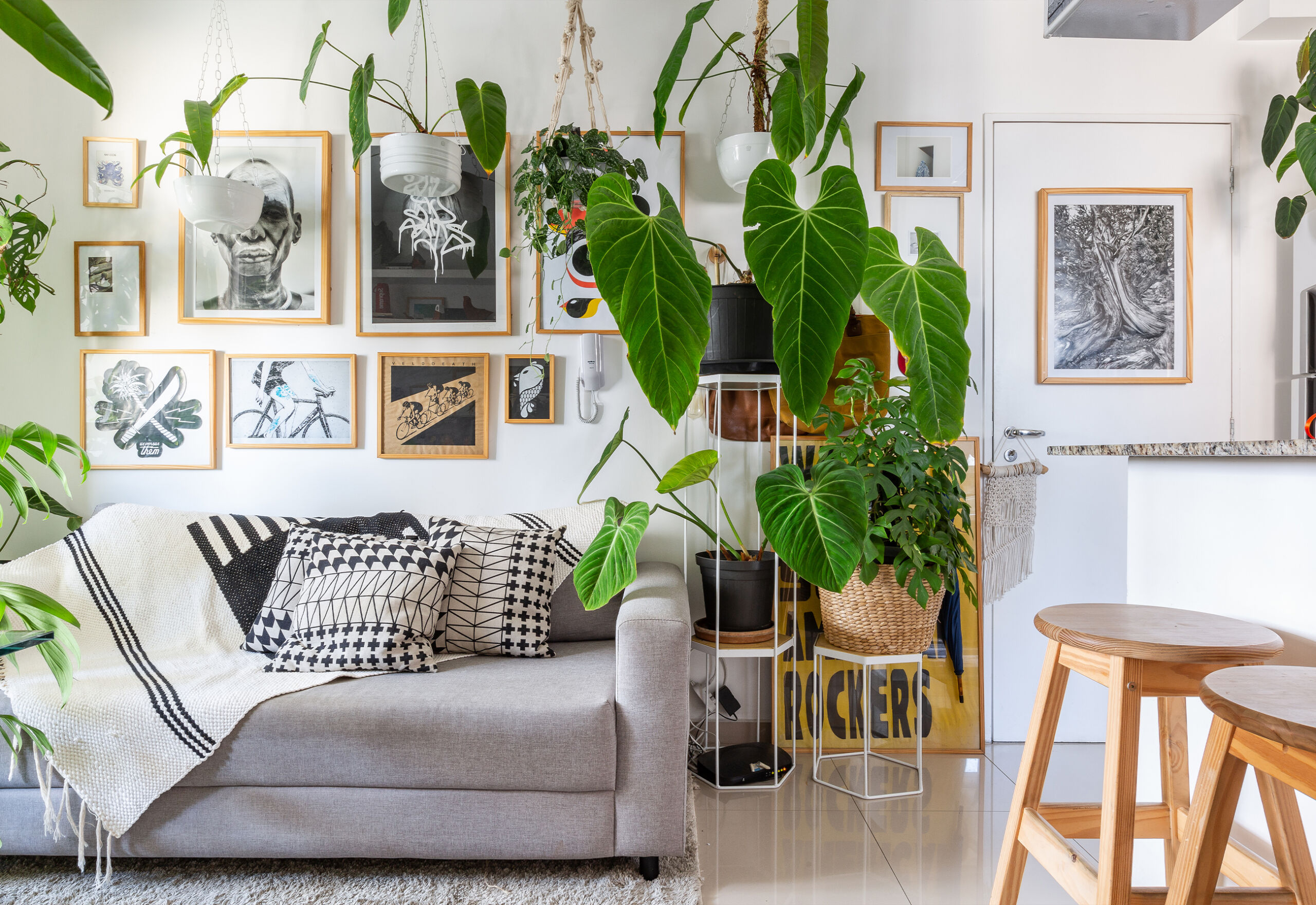 plantas para sala de apartamento