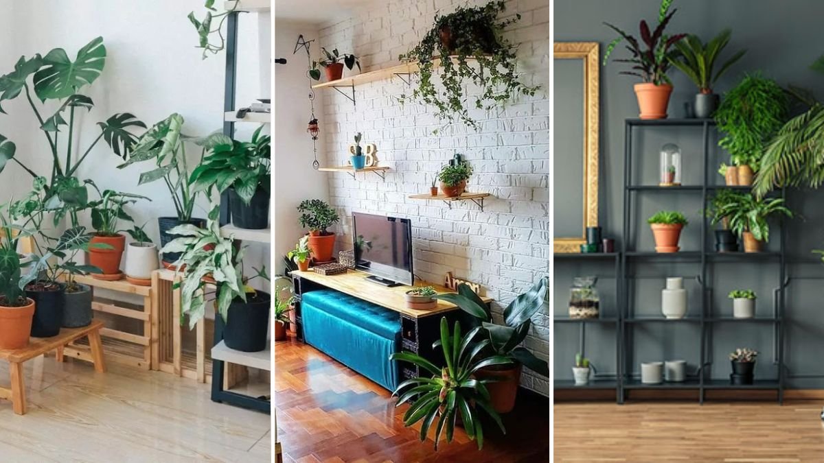 plantas pendentes para apartamento