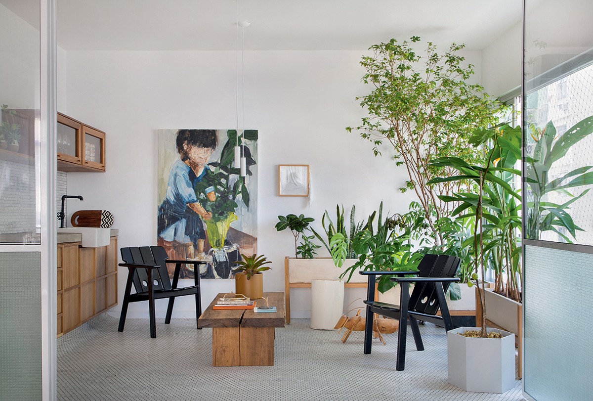 erros comuns ao cuidar de plantas em apartamento com pouca luz