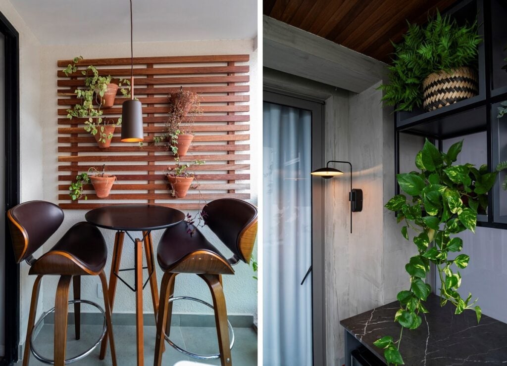 melhores plantas para apartamento pequeno e pet friendly