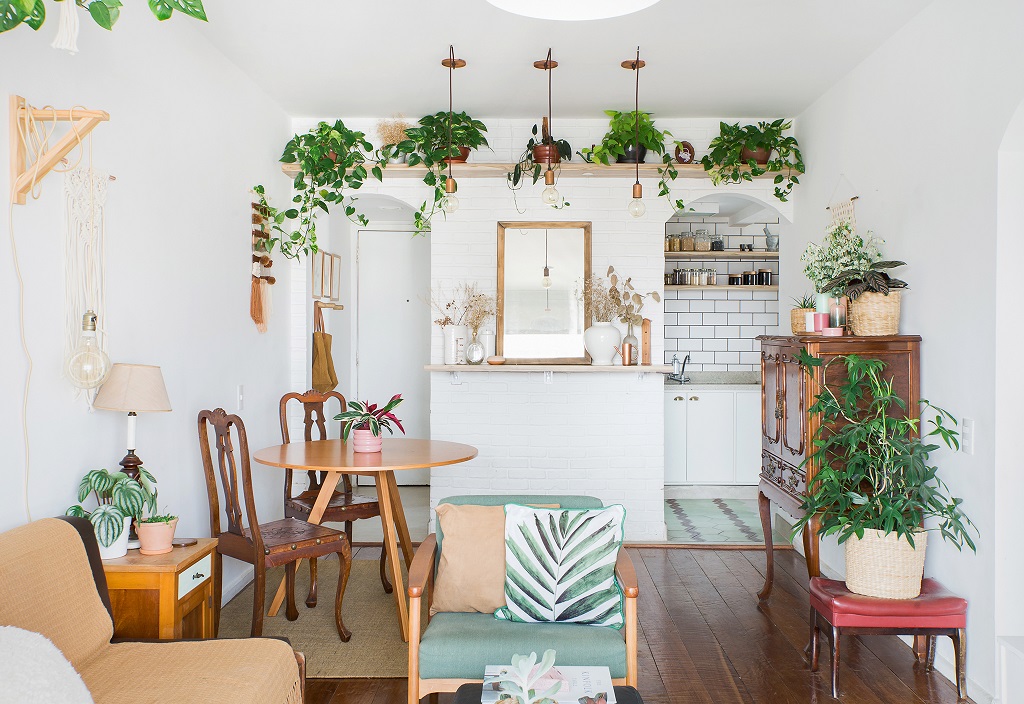 plantas para apartamento pequeno